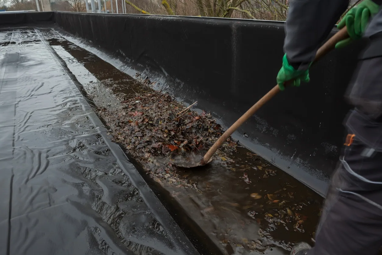 drain and scupper assessment